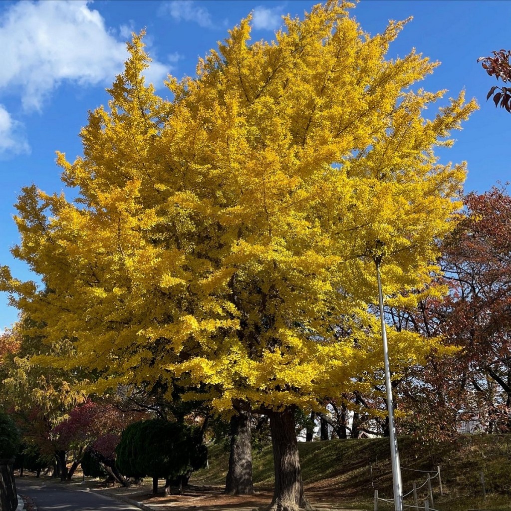 20251111_093626054_iOS