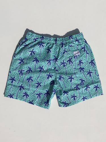 Swim Shorts (Flair Palm Mint)