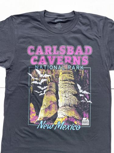 【Carlsbad Caverns National Park】 Souvenir Tee